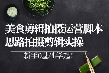 湘水《美食剪辑拍摄运营》脚本思路拍摄剪辑实操，0基础学起