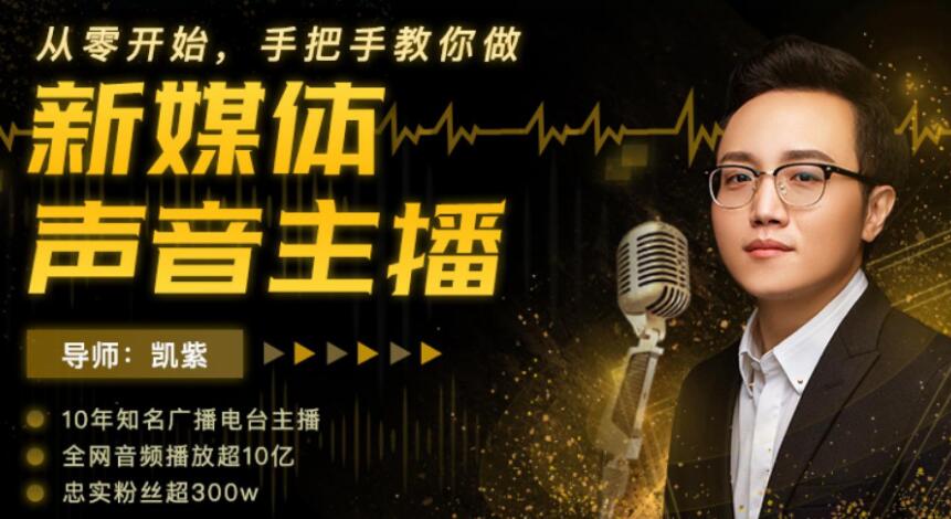 靠声音赚钱,手把手教你做,新媒体声音主播,0成本变现视频